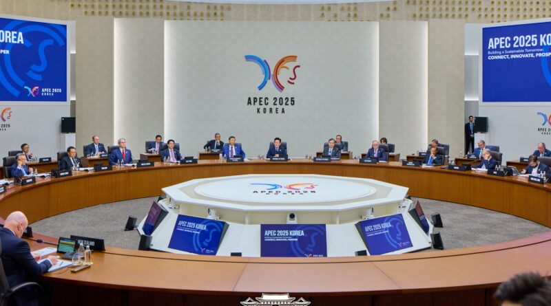 2025 외교백서, 계엄 이후 외교정상화와 실용기조 재정립의 동학
