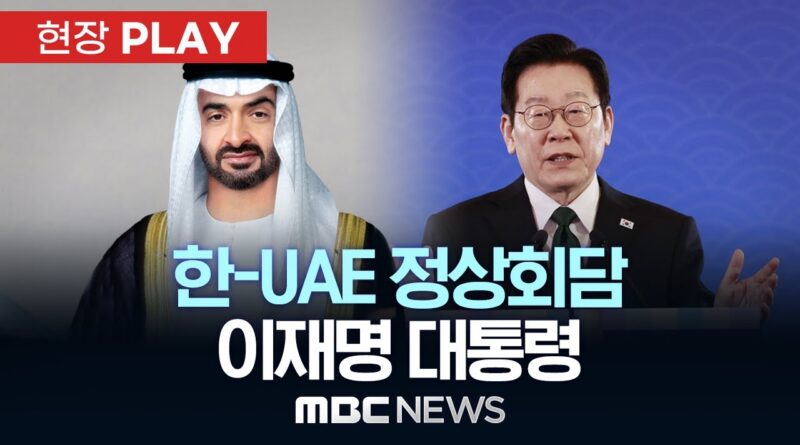 한-아랍에미리트, 10년 외교의 성과와 한계: 실리와 명분 사이