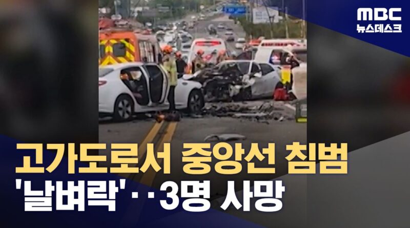고가도로 중앙선 침범 참사...예고된 위험, 도로 안전 의식이 남긴 또 하나의 비극